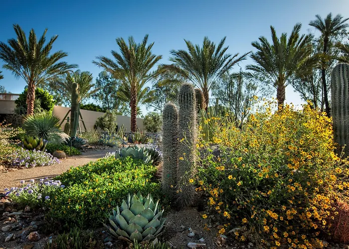 The Scottsdale Resort & Spa, Curio Collection By Hilton